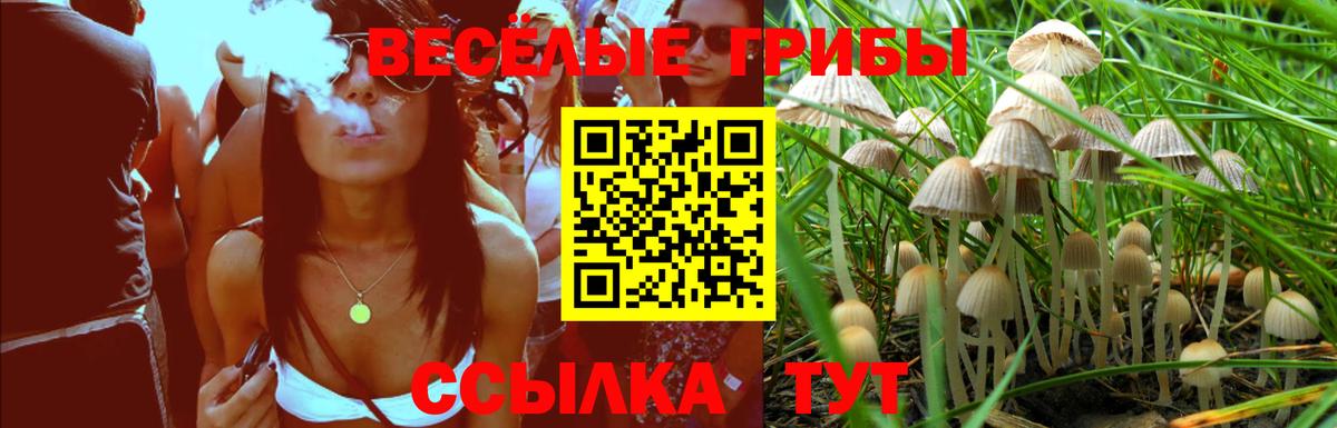 Галлюциногенные грибы MAGIC MUSHROOMS  Псилоцибиновые грибы ЛСД  Вход с VPN  Алатырь 